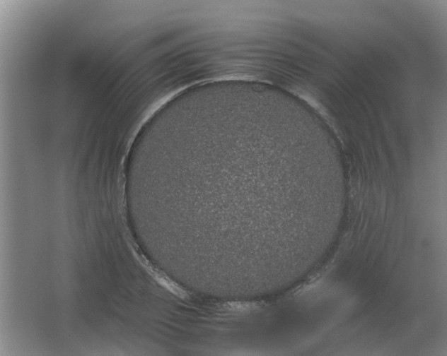 X0000062930933200601271828