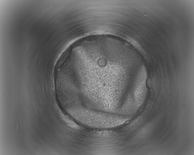 X0000062930934200601271828