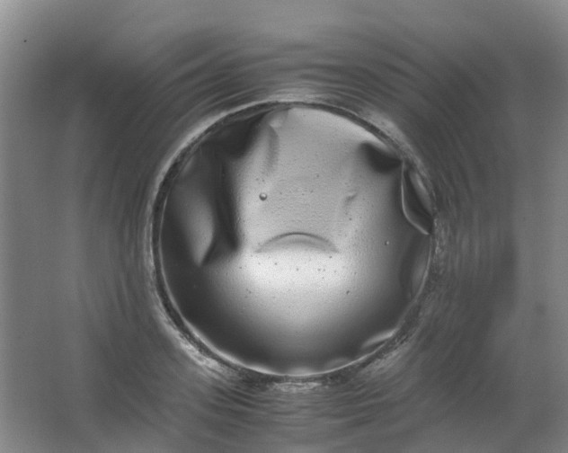 X0000062930939200601271828