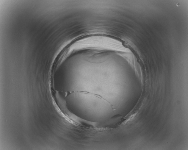 X0000062930941200601271828