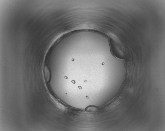 X0000062930942200601271828