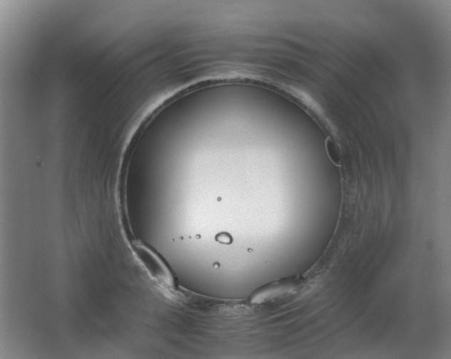 X0000062930943200601271828