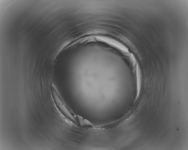 X0000062930945200601271828