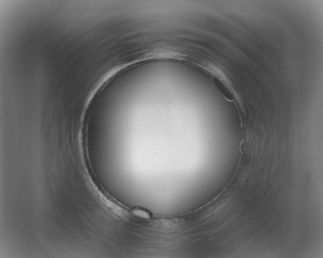 X0000062930947200601271828