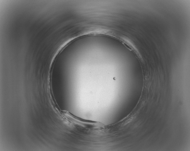 X0000062930948200601271828