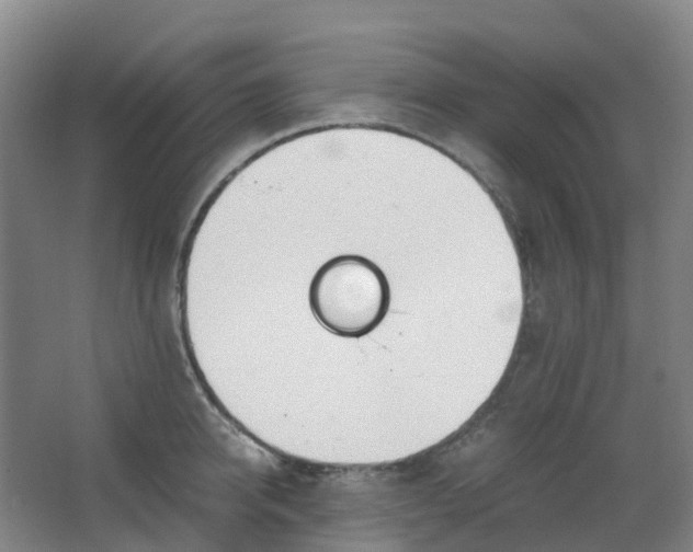 X0000062930950200601271828