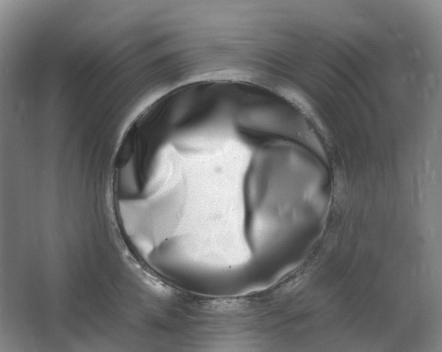 X0000062930952200601271828