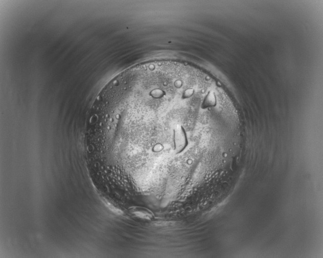 X0000062930953200601271828