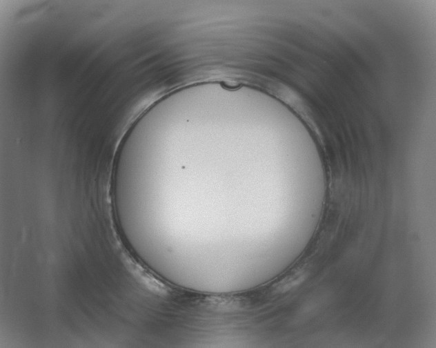 X0000062930954200601271828