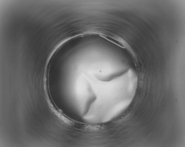 X0000062930955200601271828