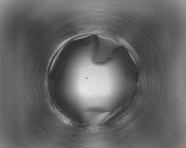 X0000062930956200601271828