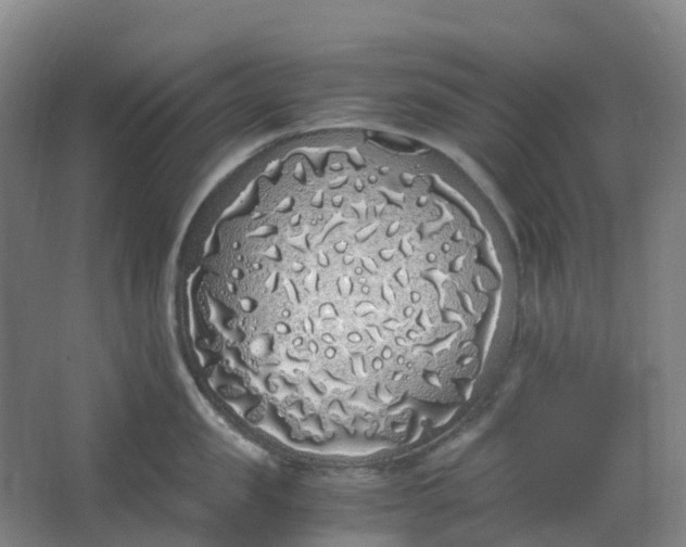 X0000062930957200601271828