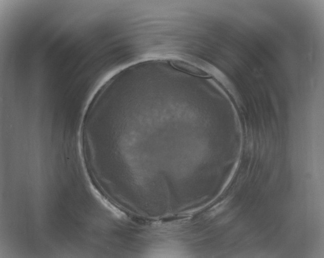 X0000062930958200601271828