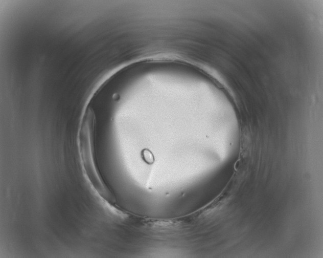 X0000062930959200601271828