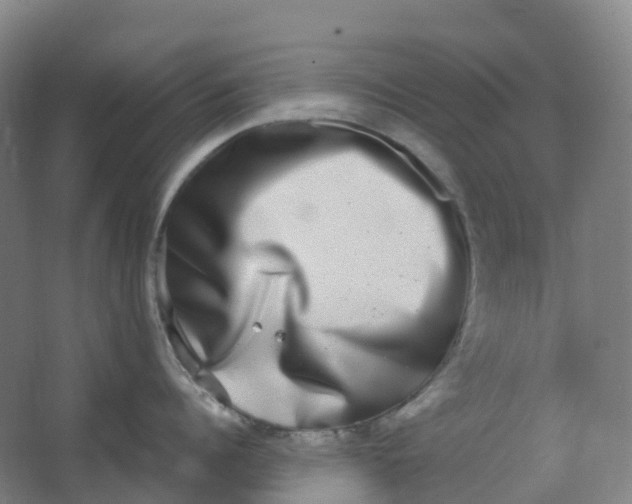 X0000062930960200601271828