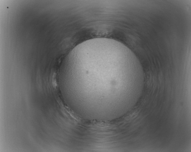 X0000062930962200601271828