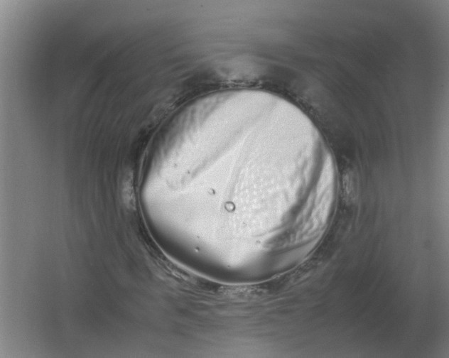 X0000062930963200601271828