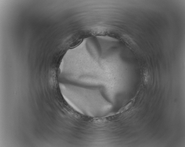 X0000062930964200601271828