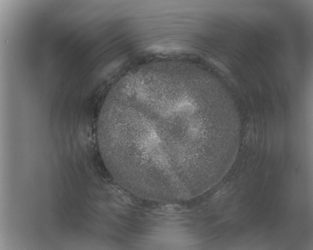 X0000062930966200601271828