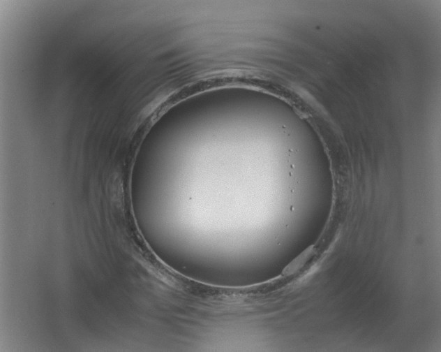 X0000062930969200601271828