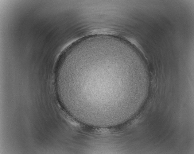 X0000062930971200601271828