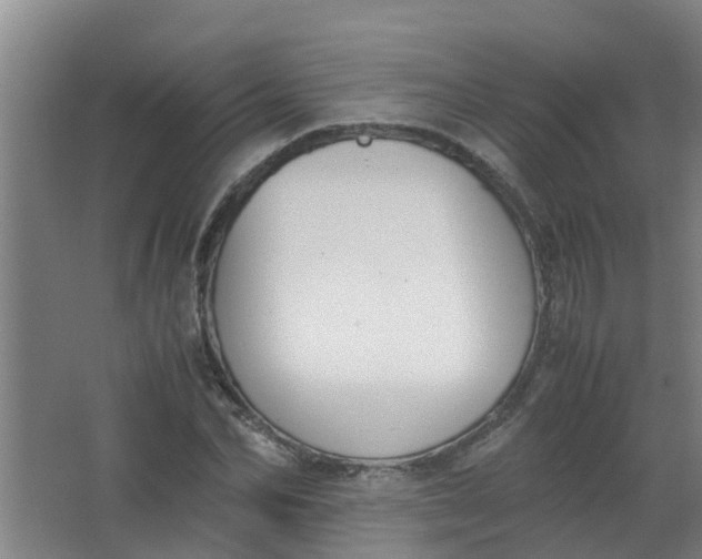 X0000062930974200601271827