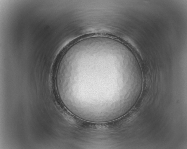 X0000062930975200601271827