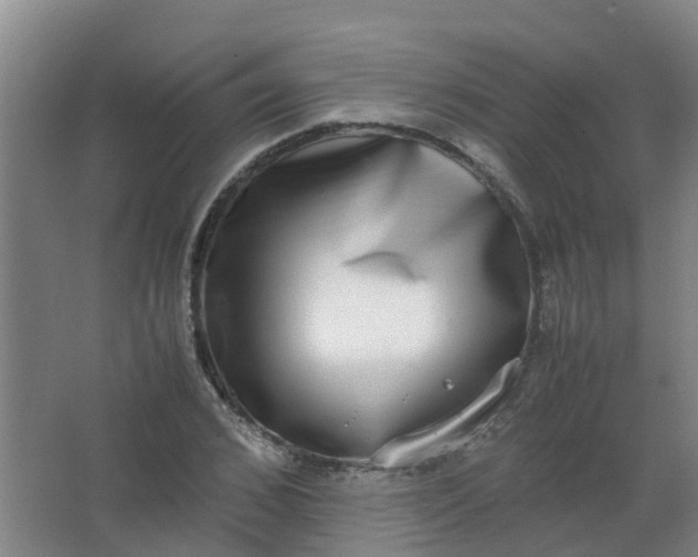 X0000062930976200601271827