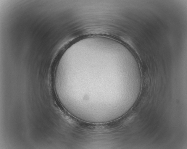 X0000062930979200601271827