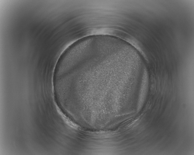 X0000062930980200601271827