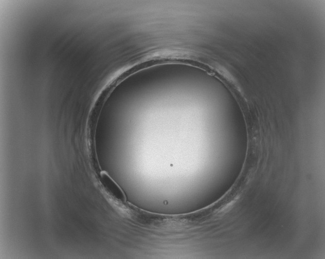 X0000062930981200601271827