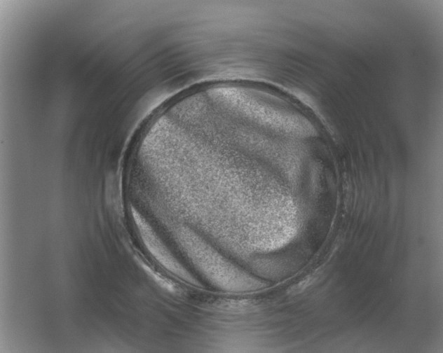 X0000062930982200601271827