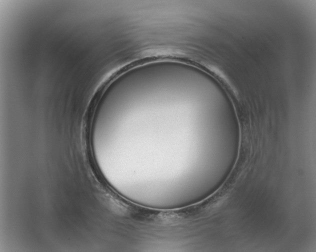 X0000062930983200601271827