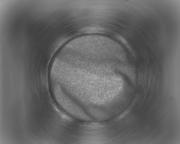 X0000062930986200601271827