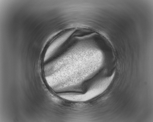 X0000062930987200601271827