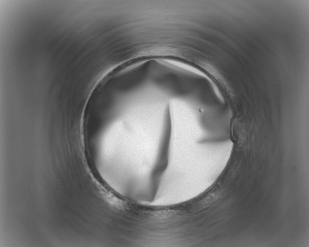 X0000062930988200601271827