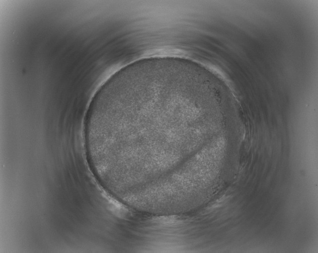 X0000062930990200601271827