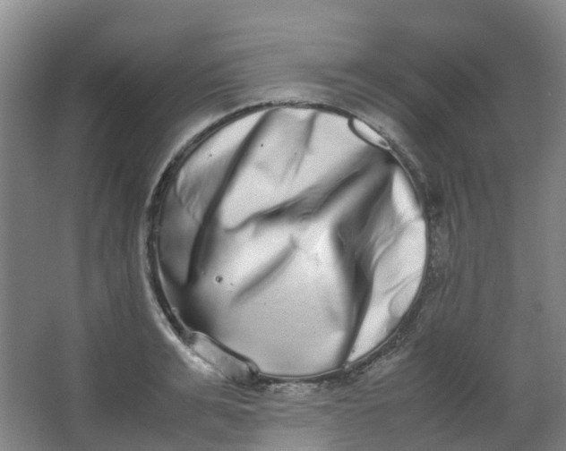 X0000062930991200601271827