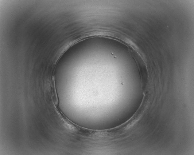 X0000062930993200601271827