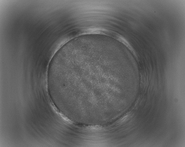 X0000062930994200601271827