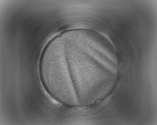 X0000062930995200601271827