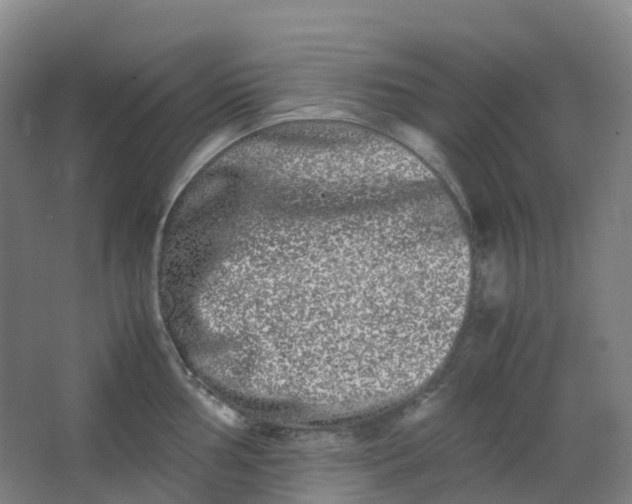 X0000062931002200601271827