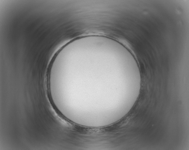 X0000062931003200601271827