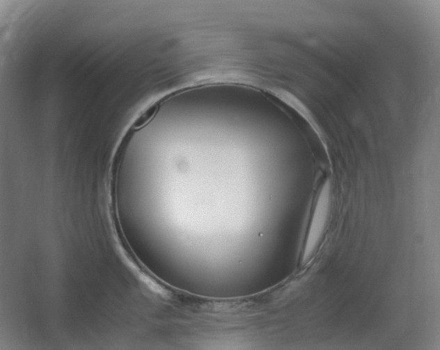 X0000062931005200601271827