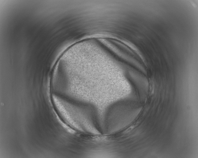 X0000062931006200601271827