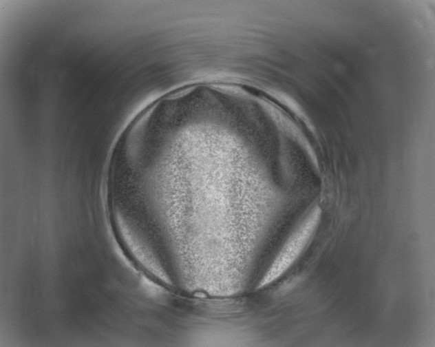 X0000062931007200601271827