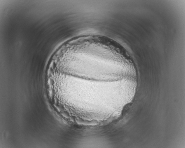 X0000062931008200601271827