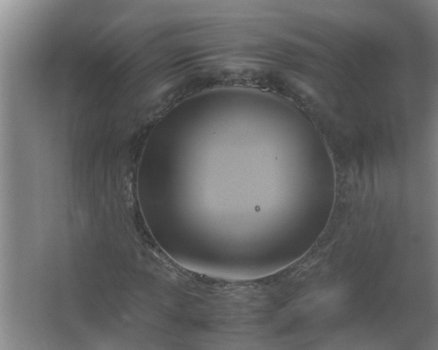 X0000062931013200601271826