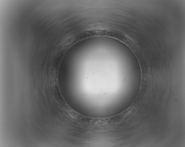 X0000062931014200601271826