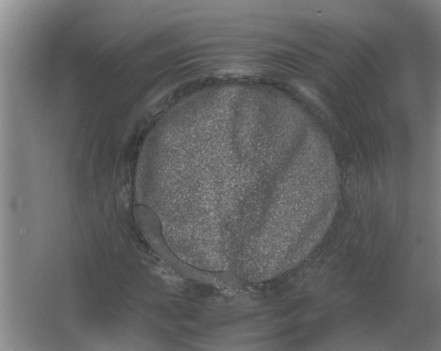 X0000062931015200601271826